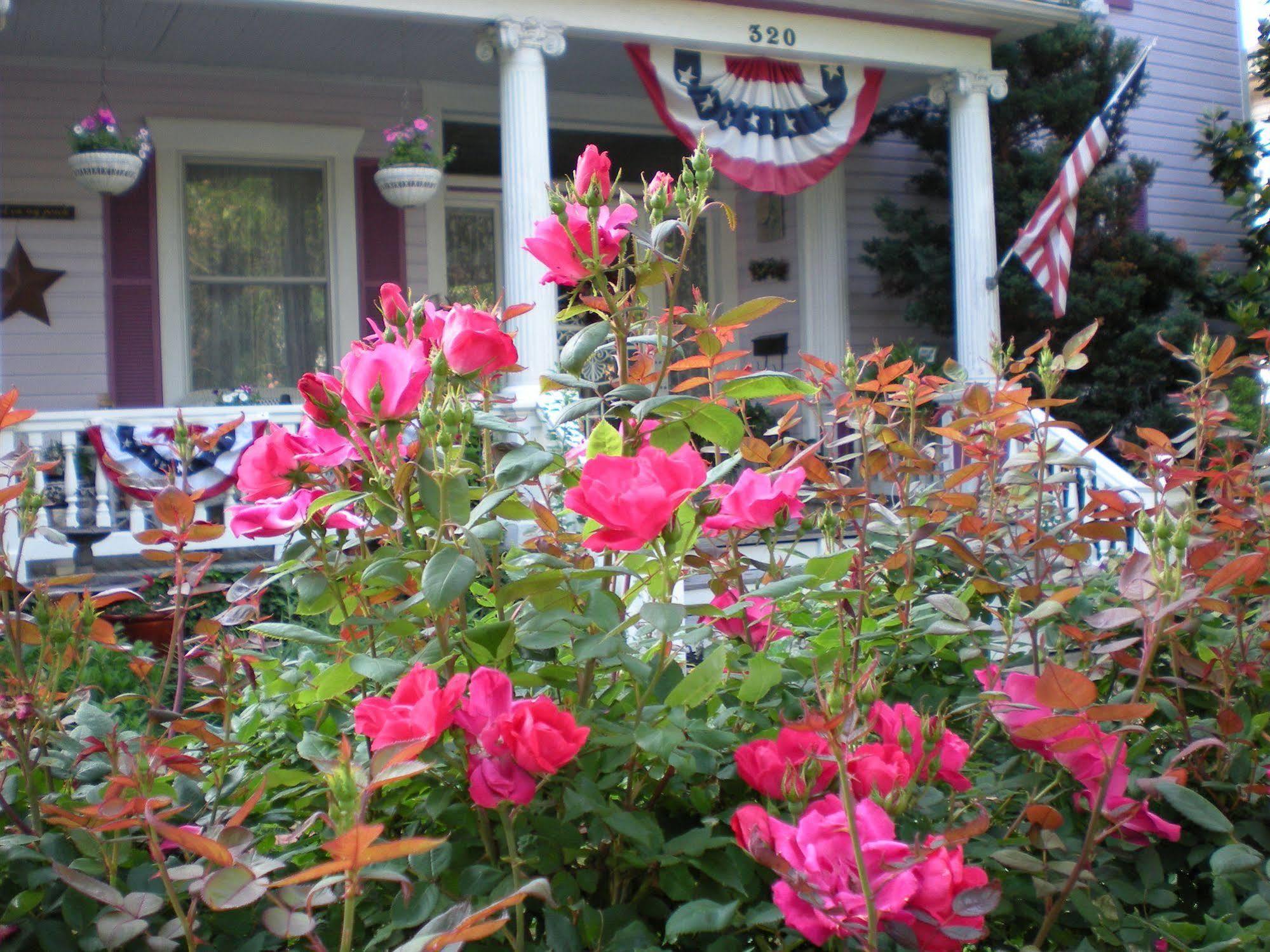 Belle Hearth Bed And Breakfast Waynesboro Exterior foto
